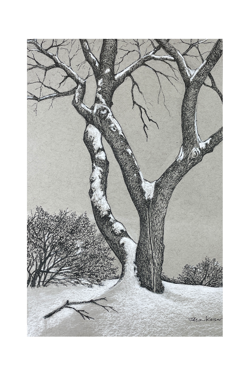 Outside the Science Room | Tree Ink Drawing | Jason Keiser Art